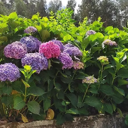 בית נופש Quinta Da Costeira *