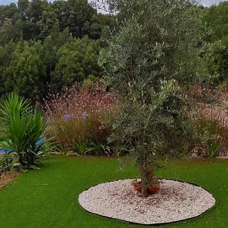 Quinta Da Costeira