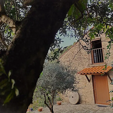 Quinta Da Costeira Holiday home Sever do Vouga