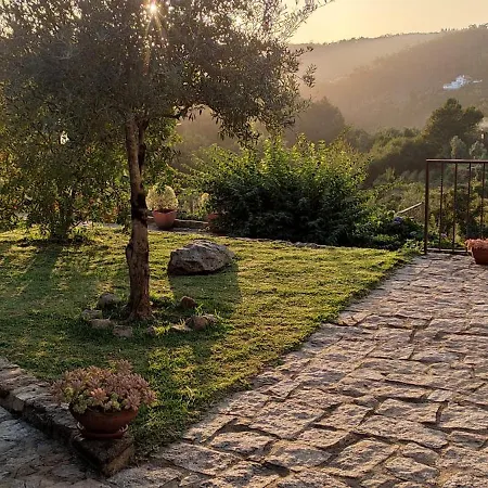 Quinta Da Costeira * Sever do Vouga