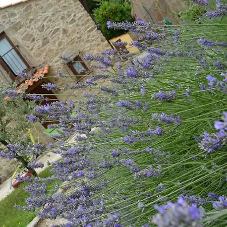 Quinta Da Costeira *