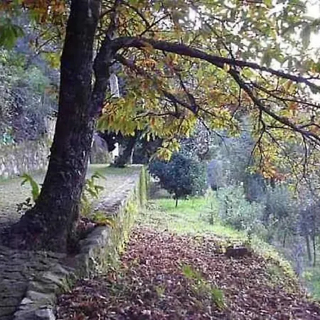 בית נופש Quinta Da Costeira