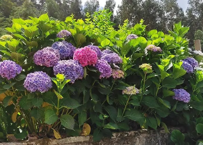 Nyaraló Quinta Da Costeira *