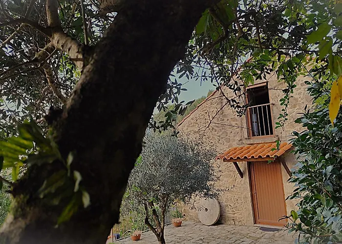 Quinta Da Costeira Nyaraló Sever do Vouga