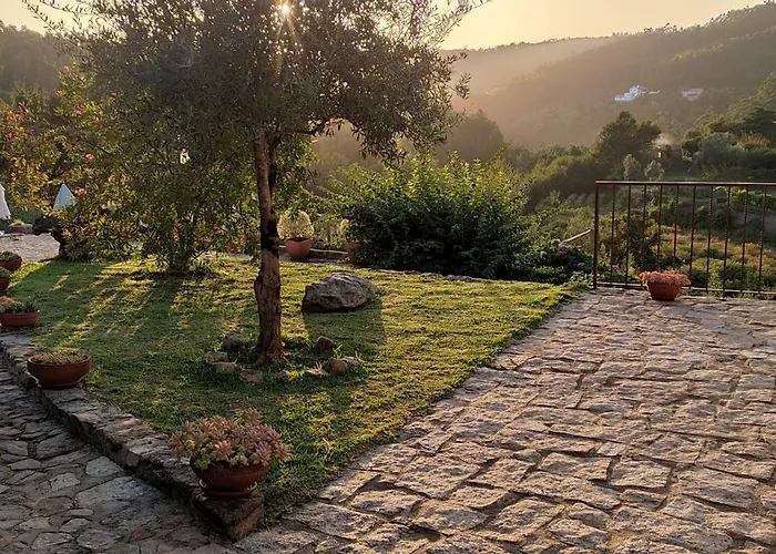Quinta Da Costeira * Sever do Vouga