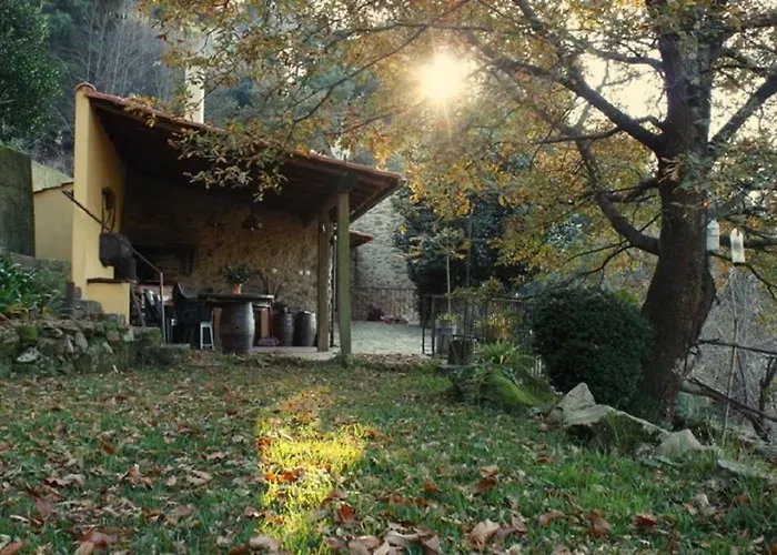 Quinta Da Costeira * Sever do Vouga