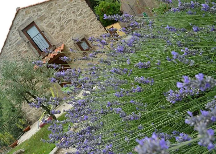 Quinta Da Costeira *