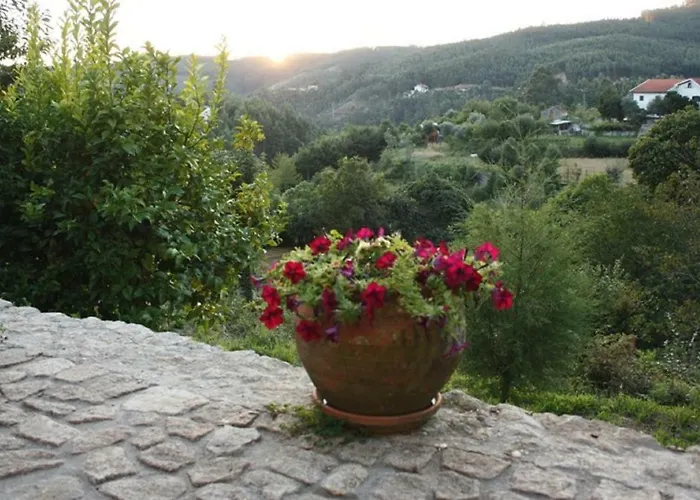 Quinta Da Costeira Semesterbostad Sever do Vouga