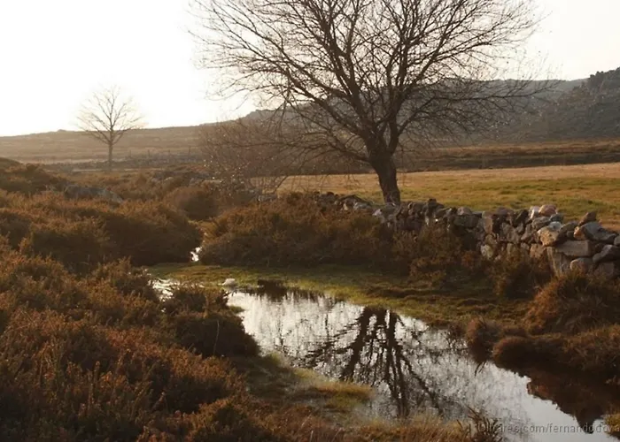 Дом отдыха Quinta Da Costeira Север-ду-Вога